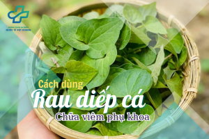 Rau diếp cá chữa viêm phụ khoa: Công dụng + Cách thực hiện 